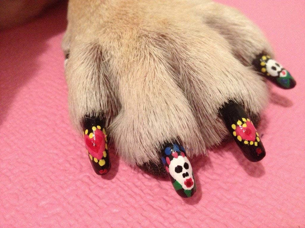 Warren London Dog Products - Pawdicure Nail Polish Pen - Quick Dry - 13 Colors: White